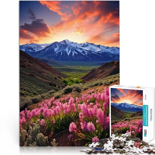 2000-teilige Puzzles für Erwachsene Spielzeug Lernspiele Stressabbau Poster Frühlingsberge einzigartiges Herausforderungsspiel70x100cm von LKASGCBY