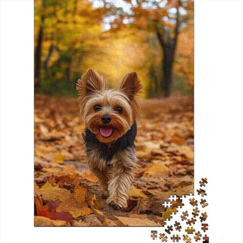 Yorkshire Terrier Puzzle 1000-teilige Schwer Puzzle Spielzeug Pädagogisches Spiel Impossible Herausforderungsspielzeug Für Erwachsene Und Kinder Ab 14 Jahren 1000pcs (75x50cm) von LKBASOEGD