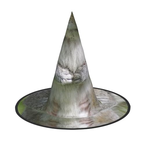 LKLDDPZB Eichhörnchen bedruckter Halloween-Hexenhut für Damen und Herren, spitzer Hut, Dekoration, Cosplay LKLDDPZB Eichhörnchen bedruckter Halloween-Hexenhut für Damen und Herren, spitzer Hut, Dekoration, Cosplay von LKLDDPZB