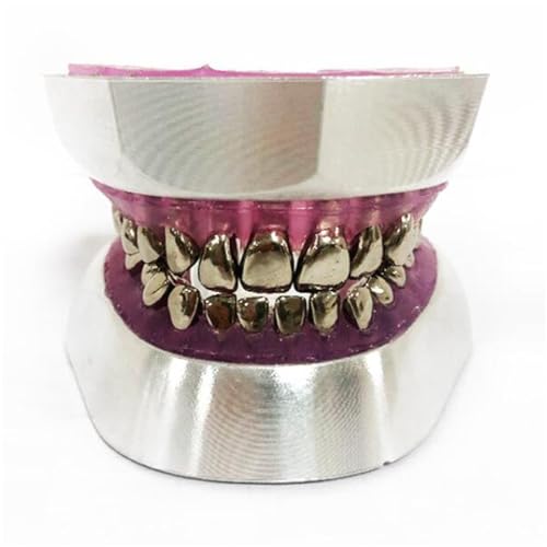 28 Zähne Metall Extraktion Modell Zähne Oral Modell Oral Dental Stomatologie Zahnextraktion Trainingsmodell für Studium Lehre Display von LKYLVEE