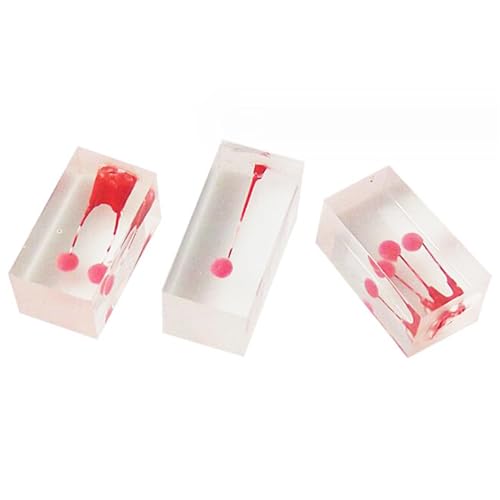 3 Stück Zähne Lehrmodell Dental Partikel Gefärbt Rot Pulp Kammer Modell Krone Pulp Modelle für Lehre und Studium (Rosa) von LKYLVEE