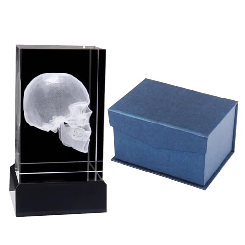 3D Kristall Briefbeschwerer menschlichen Körper Teil Anatomie Orgel Modell Arzt Psychologie Abschluss Wissenschaft Biologie Geschenk mit bunter LED-Basis (Kopf) von LKYLVEE