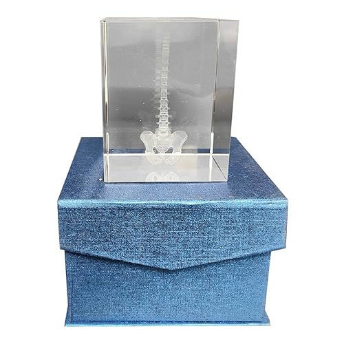 Briefbeschwerer, 3D-Kristall, Menschenwirbelsäule, anatomisches Modell, lasergeätzt, in Kristallglaswürfel, Wissenschaftsgeschenk, 7,9 x 7,9 x 9,4 cm Briefbeschwerer, 3D-Kristall, Menschenwirbelsäule, anatomisches Modell, lasergeätzt, in Kristallglaswürfel, Wissenschaftsgeschenk, 7,9 x 7,9 x 9,4 cm von LKYLVEE