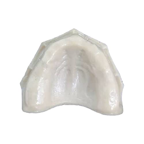 Dental Teaching Implant Practice Modell - Dental Training Zahnmodell - Zahntraining Zahnmodell Unterkieferimplantat Übungsmodell ohne Gingiva - für umfassende Implantatpraxis (E) von LKYLVEE