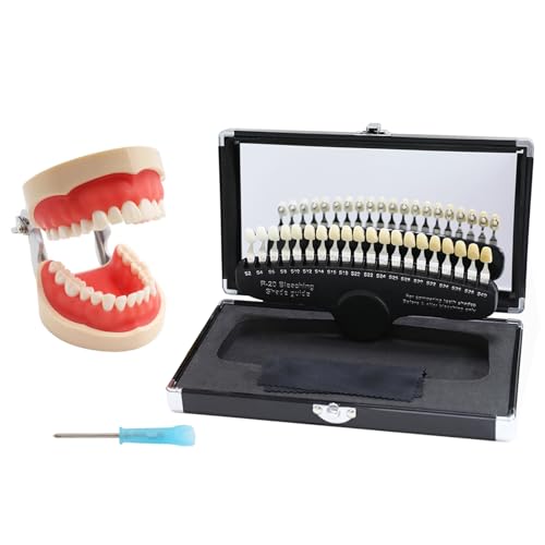 Dental Typodont Zahnmodell - Zahnarzt Zähne Extraktion Modell mit Dental Farbkarten - für Medizinstudenten Dental Extraktion Training Tool von LKYLVEE