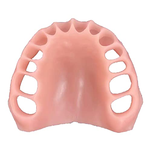 Medizinisches Anatomiemodell Zahnmodell Weiche Zähne Zahnfleisch Modelle Zahnfleisch Modell für Zahnstudenten, Medizinische Simulation Zahnmodell zur Vorbereitung (B) von LKYLVEE