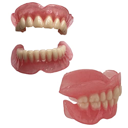Zahnprothesenmodell – simuliertes Mundzahn-Lehrmodell – für Bildungs- und Studienmodell-Werkzeug (1 Paar) von LKYLVEE