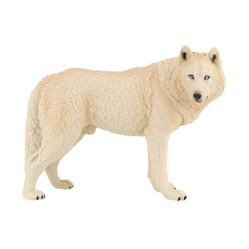 LLHCF Realistisches Wolfsfigur-Spielzeug mit hoher Detail-Simulationstier für Ausstellungsanzeige und wissenschaftliche Projekte für Kinder LLHCF Realistisches Wolfsfigur-Spielzeug mit hoher Detail-Simulationstier für Ausstellungsanzeige und wissenschaftliche Projekte für Kinder von LLHCF