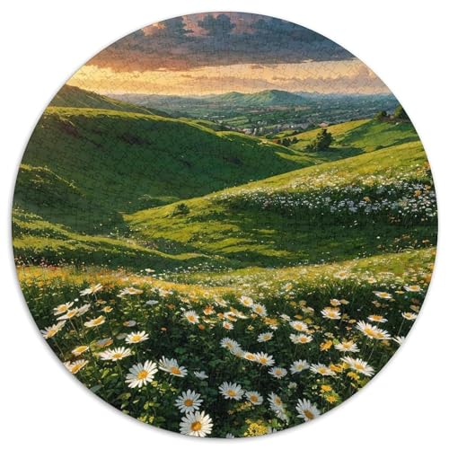Runde Puzzles aus Pappe im japanischen Stil für Erwachsene, 1000-teiliges Denkspiel, Spiel für Erwachsene, interaktive Familienaktivität (Größe 67,5 x 67,5 cm) von LLONGKT