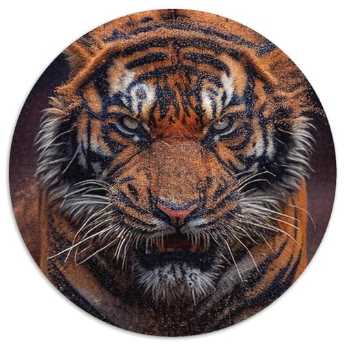 Tiger-Puzzle für Erwachsene, 1000 Teile, Geburtstagsgeschenkidee für Erwachsene, anspruchsvolles Denkspiel (67,5 x 67,5 cm) von LLONGKT