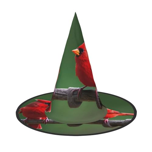 Halloween-Hut-Hexen-Dekoration – rote Vögel, Party-Hexenkostüm, Cosplay, Maskerade-Zubehör, 2 Stück Halloween-Hut-Hexen-Dekoration – rote Vögel, Party-Hexenkostüm, Cosplay, Maskerade-Zubehör, 2 Stück von LLOTPQ