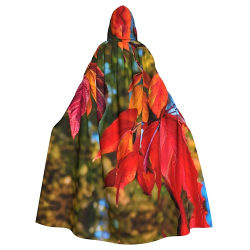 Halloween-Umhang mit Kapuze für Erwachsene, Unisex, rote Blätter und Früchte, Volldruck, Kostüm, Umhang für Cosplay, Party und Themenveranstaltungen von LLOTPQ