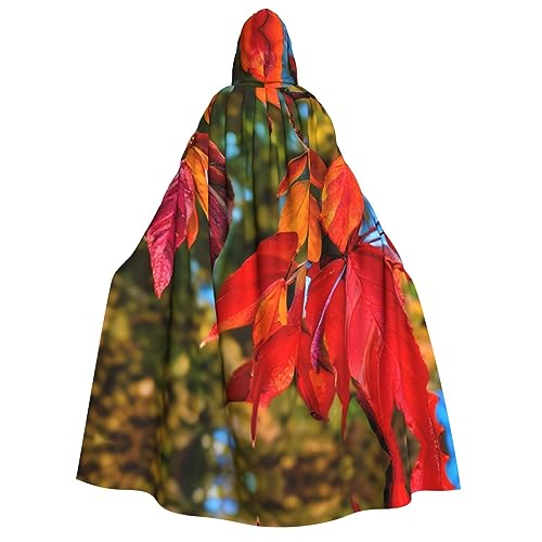Herbstrote Blätter und Früchte, Volldruck, Erwachsenen-Kapuzenumhang für Männer und Frauen, perfekt für Cosplay, Halloween, Themenpartys und mehr Herbstrote Blätter und Früchte, Volldruck, Erwachsenen-Kapuzenumhang für Männer und Frauen, perfekt für Cosplay, Halloween, Themenpartys und mehr von LLOTPQ