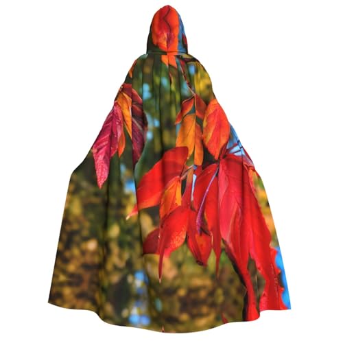 Unisex Erwachsene Halloween Kapuzenumhang - Herbst rote Blätter und Früchte Volldruck Kostüm Umhang für Partys, Karneval, Comic Ausstellungen von LLOTPQ