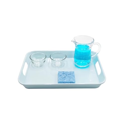 LLTCMYGS Arbeitsset Spielzeuge zum Übertragen von Wasser, Montessori Wasser gießen zur Verteilung von Lehrhilfen von LLTCMYGS
