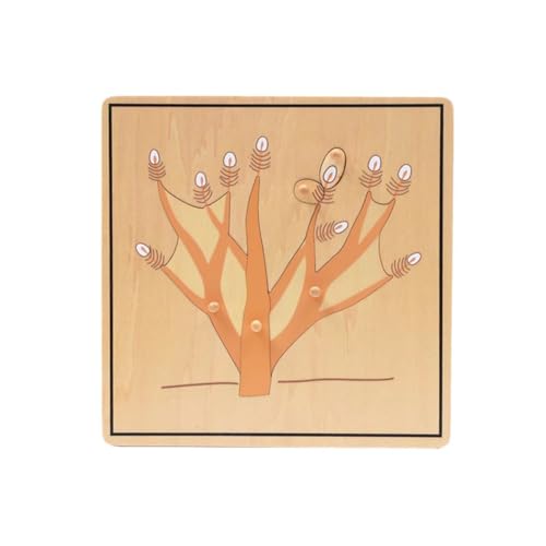 LLTCMYGS Baumwurzel-Panel-Puzzle-Panels, Montessori-Fingerpräzisionstraining, frühkindliche Vorschulerziehung LLTCMYGS Baumwurzel-Panel-Puzzle-Panels, Montessori-Fingerpräzisionstraining, frühkindliche Vorschulerziehung von LLTCMYGS