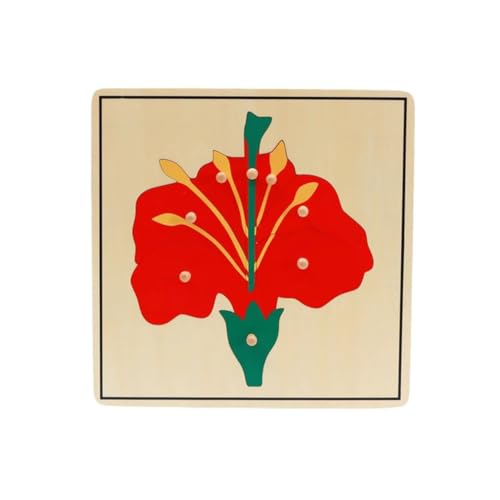 LLTCMYGS Blume Holztafel Puzzle, Montessori frühkindliche Entwicklung Pflanze Tafel LLTCMYGS Blume Holztafel Puzzle, Montessori frühkindliche Entwicklung Pflanze Tafel von LLTCMYGS