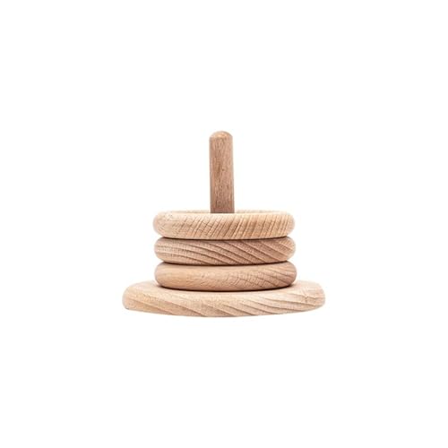 LLTCMYGS Buche Holz Ring Spielzeug für Kinder, Montessori Vorschule Hand-Augen-Koordination Bildungs-Spielzeug von LLTCMYGS