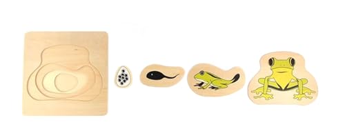 LLTCMYGS Cartoon Frosch Wachstumszyklus Puzzle Lehre AIDS, Montessori Tier mehrschichtiges Puzzle Spielzeug LLTCMYGS Cartoon Frosch Wachstumszyklus Puzzle Lehre AIDS, Montessori Tier mehrschichtiges Puzzle Spielzeug von LLTCMYGS