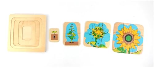 LLTCMYGS Holz Sonnenblume Wachstumszyklus Puzzle Montessori Unterricht AIDS, Spielzeug für Vorschulkinder von LLTCMYGS