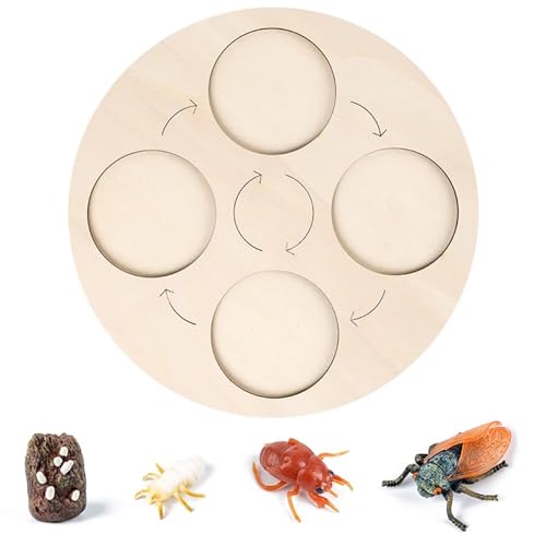 LLTCMYGS Holztabletts für den Lebenszyklus des Tier- und Pflanzenwachstums, Montessori-Lernspielzeugplatten,Cicadas LLTCMYGS Holztabletts für den Lebenszyklus des Tier- und Pflanzenwachstums, Montessori-Lernspielzeugplatten,Cicadas von LLTCMYGS