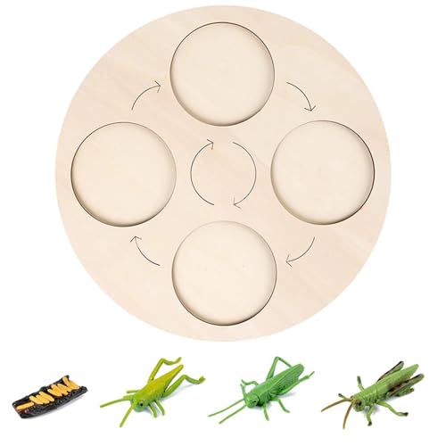 LLTCMYGS Holztabletts für den Lebenszyklus des Tier- und Pflanzenwachstums, Montessori-Lernspielzeugplatten,Crickets LLTCMYGS Holztabletts für den Lebenszyklus des Tier- und Pflanzenwachstums, Montessori-Lernspielzeugplatten,Crickets von LLTCMYGS