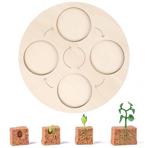 LLTCMYGS Holztabletts für den Lebenszyklus des Tier- und Pflanzenwachstums, Montessori-Lernspielzeugplatten,Plants LLTCMYGS Holztabletts für den Lebenszyklus des Tier- und Pflanzenwachstums, Montessori-Lernspielzeugplatten,Plants von LLTCMYGS
