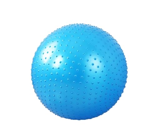 LLTCMYGS Indoor-Gleichgewichtstraining und sensorische Koordination für Kinder Yoga-Ball-Ausrüstung, Yoga-Massagespielzeug für zu Hause,Blau LLTCMYGS Indoor-Gleichgewichtstraining und sensorische Koordination für Kinder Yoga-Ball-Ausrüstung, Yoga-Massagespielzeug für zu Hause,Blau von LLTCMYGS