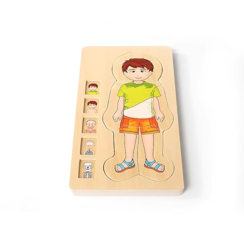 LLTCMYGS Jungen Körperstruktur Puzzle Unterrichten AIDS, Montessori Vorschulbildung Wissenschaft Spielzeug LLTCMYGS Jungen Körperstruktur Puzzle Unterrichten AIDS, Montessori Vorschulbildung Wissenschaft Spielzeug von LLTCMYGS