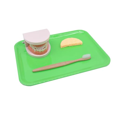 LLTCMYGS Kinder Spielen Haus Bürsten Früherziehungsset, Säugling Bürsten und Waschen Set Spielzeug,Grün LLTCMYGS Kinder Spielen Haus Bürsten Früherziehungsset, Säugling Bürsten und Waschen Set Spielzeug,Grün von LLTCMYGS
