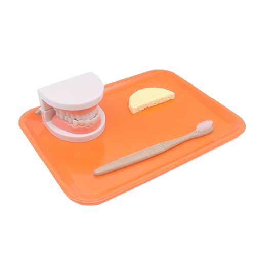 LLTCMYGS Kinder Spielen Haus Bürsten Früherziehungsset, Säugling Bürsten und Waschen Set Spielzeug,Orange LLTCMYGS Kinder Spielen Haus Bürsten Früherziehungsset, Säugling Bürsten und Waschen Set Spielzeug,Orange von LLTCMYGS