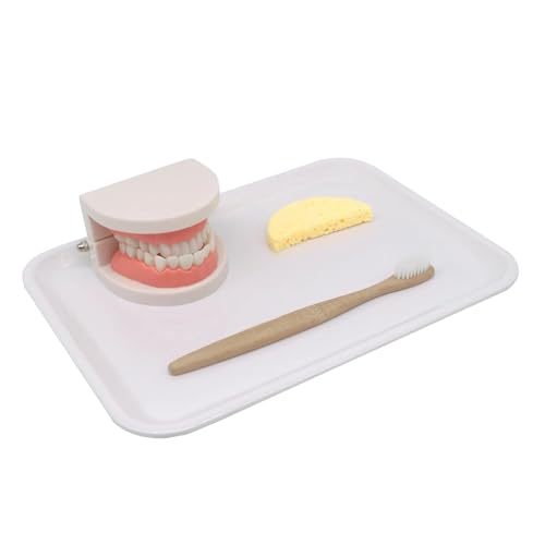 LLTCMYGS Kinder Spielen Haus Bürsten Früherziehungsset, Säugling Bürsten und Waschen Set Spielzeug,Weiß LLTCMYGS Kinder Spielen Haus Bürsten Früherziehungsset, Säugling Bürsten und Waschen Set Spielzeug,Weiß von LLTCMYGS