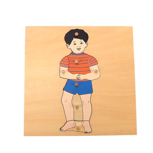LLTCMYGS Körperpuzzle für Kinder, Montessori Scientific physiologische Holzplatte,Boy von LLTCMYGS