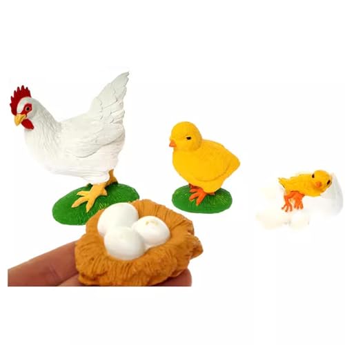 LLTCMYGS Mini-Hühnermodelle aus Kunststoff, Der Wachstumsprozess von Hühnern, Montessori Lernspielzeug für die Vorschule LLTCMYGS Mini-Hühnermodelle aus Kunststoff, Der Wachstumsprozess von Hühnern, Montessori Lernspielzeug für die Vorschule von LLTCMYGS