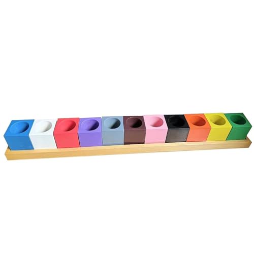 LLTCMYGS Montessori 11-Farbiger quadratischer Stifthalter, Bastelbedarfs-Organizer, Aufbewahrungsbehälter für das Klassenzimmer von LLTCMYGS