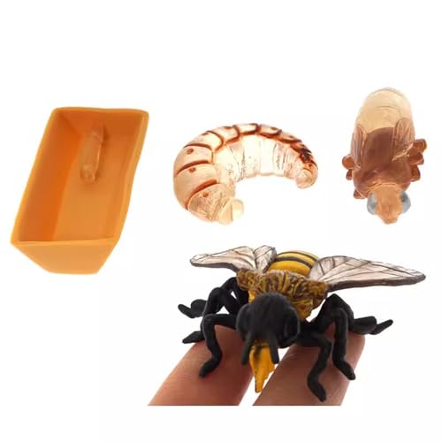 LLTCMYGS Montessori Bienenwachstumsmodell Kleine Statue, plastische Simulation Bienenwachstumszyklus Set LLTCMYGS Montessori Bienenwachstumsmodell Kleine Statue, plastische Simulation Bienenwachstumszyklus Set von LLTCMYGS