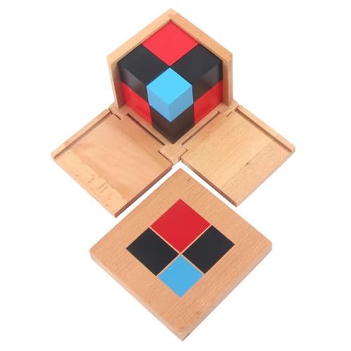 LLTCMYGS Montessori Binathlon/Triplet Würfel Bausteine, pädagogisches Mathespielzeug für Kinder,Binomials LLTCMYGS Montessori Binathlon/Triplet Würfel Bausteine, pädagogisches Mathespielzeug für Kinder,Binomials von LLTCMYGS