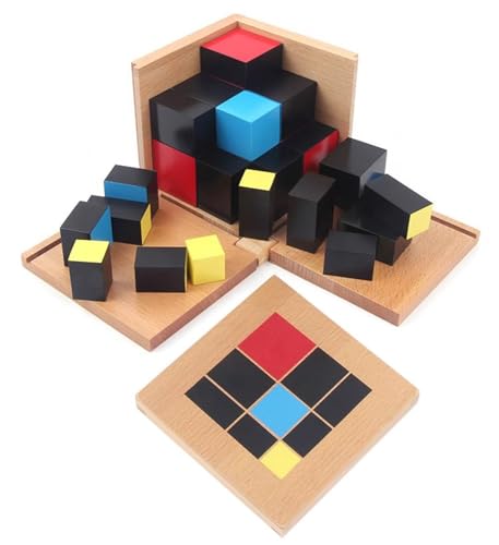 LLTCMYGS Montessori Binathlon/Triplet Würfel Bausteine, pädagogisches Mathespielzeug für Kinder,Trinomials von LLTCMYGS