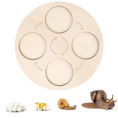 LLTCMYGS Montessori Biologischer Wachstumszyklus Puzzle AIDS lehren, Vorschulaktivität AIDS für Kinder lehren,Snail LLTCMYGS Montessori Biologischer Wachstumszyklus Puzzle AIDS lehren, Vorschulaktivität AIDS für Kinder lehren,Snail von LLTCMYGS