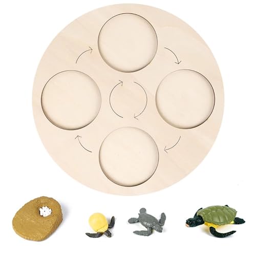 LLTCMYGS Montessori Biologischer Wachstumszyklus Puzzle AIDS lehren, Vorschulaktivität AIDS für Kinder lehren,Turtle LLTCMYGS Montessori Biologischer Wachstumszyklus Puzzle AIDS lehren, Vorschulaktivität AIDS für Kinder lehren,Turtle von LLTCMYGS