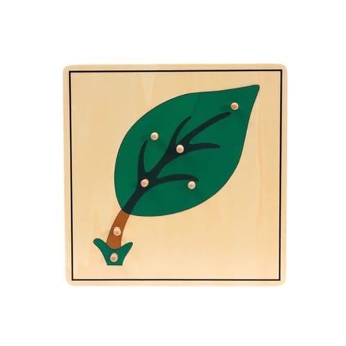 LLTCMYGS Montessori Blatt Pflanze Puzzle, Blatt Panel Vorschule Frühkindliche Entwicklung Lernmaterial LLTCMYGS Montessori Blatt Pflanze Puzzle, Blatt Panel Vorschule Frühkindliche Entwicklung Lernmaterial von LLTCMYGS