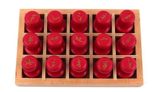 LLTCMYGS Montessori Digital Stamp Early Education Spielzeug, Chinesisches Schriftzeichen verstehen Lernen AIDS lehren,Chinese Characters Side von LLTCMYGS