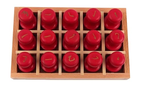 LLTCMYGS Montessori Digital Stamp Early Education Spielzeug, Chinesisches Schriftzeichen verstehen Lernen AIDS lehren,Chinese Characters Strokes von LLTCMYGS