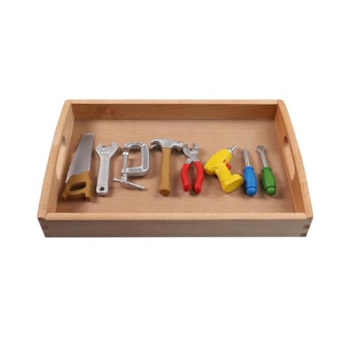 LLTCMYGS Montessori Early Education Tool Replica Model Set, Erlernen des Sprachenlehrens AIDS LLTCMYGS Montessori Early Education Tool Replica Model Set, Erlernen des Sprachenlehrens AIDS von LLTCMYGS