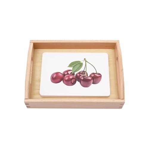 LLTCMYGS Montessori-Fruchtsprachlernsatz, Material zur Klassifikation von Früchten, Lehrmittel für den Sprachunterricht von LLTCMYGS