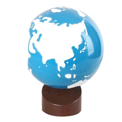LLTCMYGS Montessori Globe Wissenschaft Und Kultur Spielzeug, Lehrmittel für Kinder,Model a von LLTCMYGS