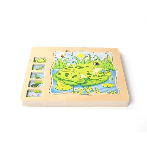 LLTCMYGS Montessori Holz Frosch Mehrschichtiges Puzzle Brett Spielzeug, Frosch Lebenszyklus Puzzle Lehrmittel von LLTCMYGS