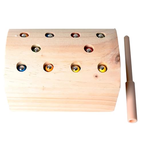 LLTCMYGS Montessori Holz Magnetisches Insektenfangspielzeug, Feinmotorische Entwicklung Unterricht AIDS von LLTCMYGS