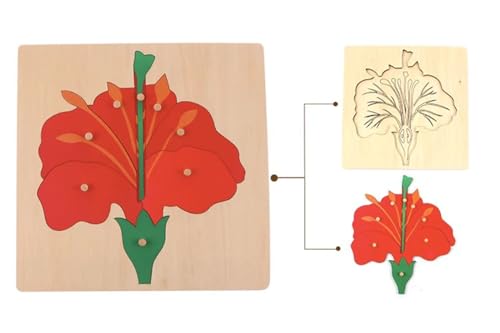 LLTCMYGS Montessori Holzpflanze Puzzle, Greifbrett Puzzle Baby Spielzeug,Flowers von LLTCMYGS