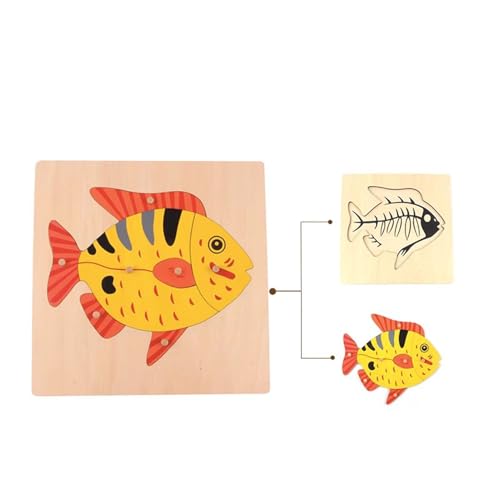LLTCMYGS Montessori Holztafel Lehre AIDS, Früherziehung Kinder Puzzle Spielzeug,Fish von LLTCMYGS
